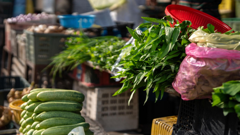 Seasonal Vegetables Guide: What’s Fresh This Month in Malaysia