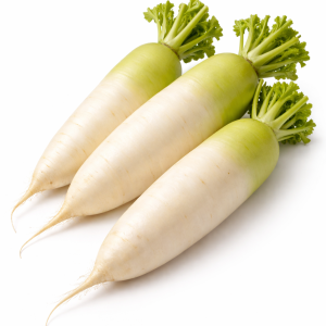 White Radish