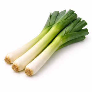 Leek