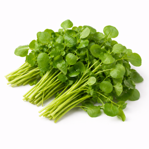 Watercress
