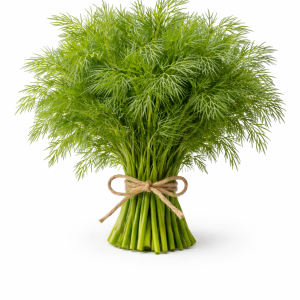 Dill