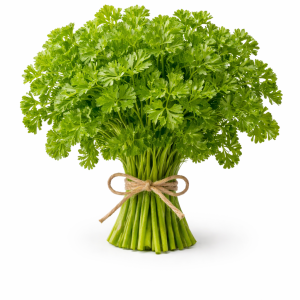 English Parsley