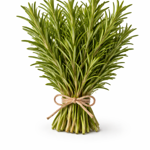 Rosemary