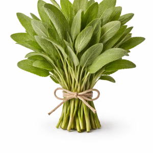 Sage