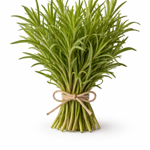 Tarragon