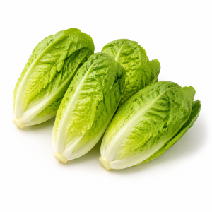 Baby Romaine