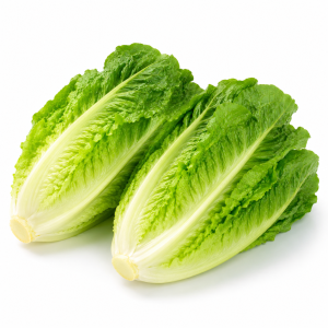 Romaine Lettuce