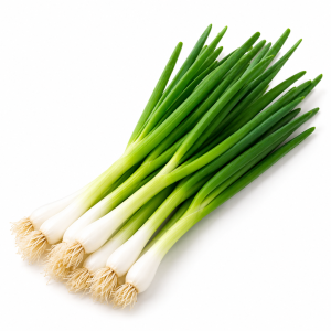 Spring Onion