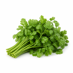 Coriander