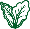 Leavy vegetable 2