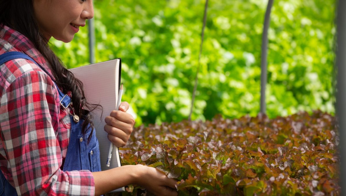 Sustainable-Farming-Practices​